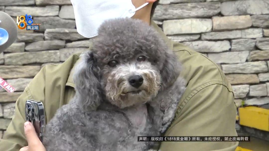 DƬ